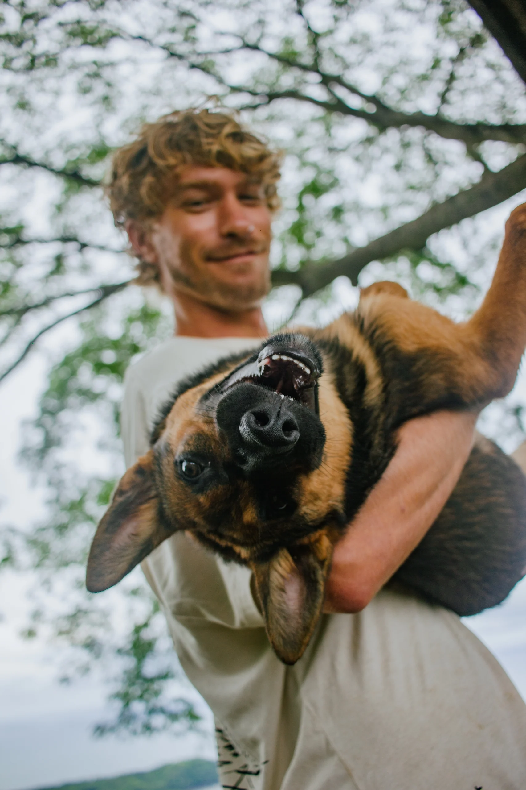 pet photography costa rica