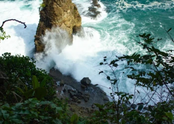 nature photography manuel antonio parque nacional