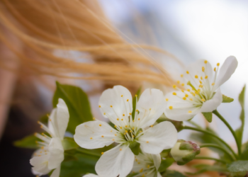 Nature Photography