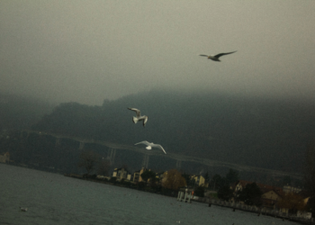 Nature photography in Switzerland