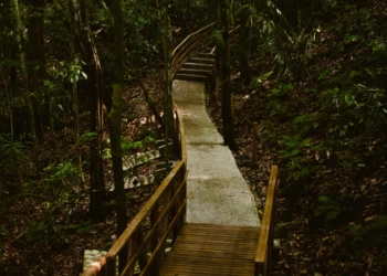 Tropical forest landscape near Manuel Antonio, Costa Rica
