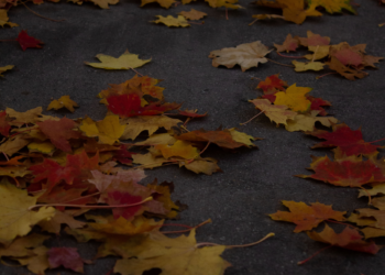 Autumn photoshoot