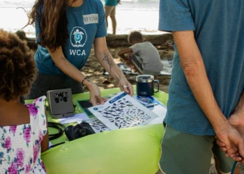 A volunteering event on the beach of Nosara town, Costa Rica