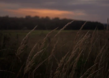Nature photography