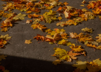 Autumn photoshoot